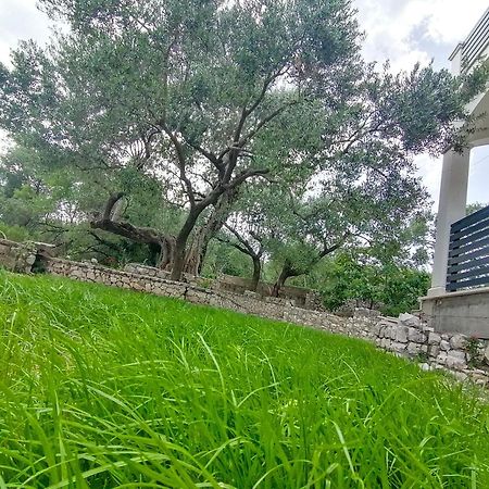 Vila Dolani Klek Exterior foto