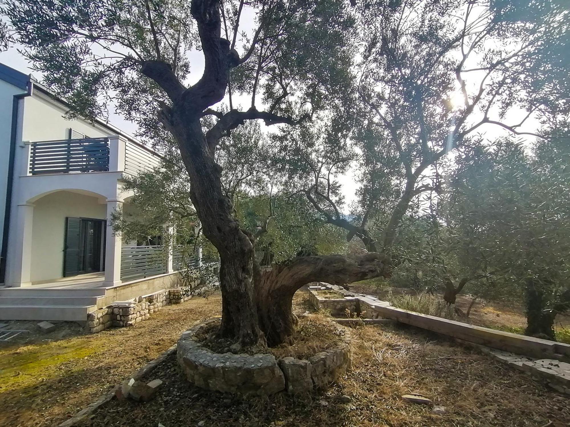 Vila Dolani Klek Exterior foto